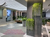 trang-tri-he-thong-cay-xanh-cho-showroom-gach-quang-ninh