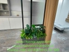 giai-phap-xanh-tang-hieu-qua-san-xuat-tai-van-phong-cong-ty-nhat-minh-decor-se-m