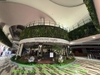 thi-cong-cay-thach-nam-co-thu-tai-trung-tam-thuong-mai-aeon-mall-ha-dong-hn