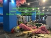 lap-dat-hoa-anh-dao-aeon-mall-ha-dong-ha-noi