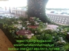 decor-tieu-canh-tren-san-thuong-cho-nha-hang-tai-311-phuoc-thien-phuong-long-bin