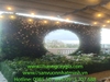 decor-tieu-canh-tren-san-thuong-cho-nha-hang-tai-311-phuoc-thien-phuong-long-bin