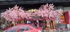 cung-cap-va-lap-dat-hoa-anh-dao-tai-giga-mall-thu-duc-tp-hcm