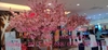 cung-cap-va-lap-dat-hoa-anh-dao-tai-giga-mall-thu-duc-tp-hcm