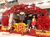 hoa-dao-do-ruc-tai-aeon-mall-binh-tan-tp-hcm