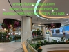 decor-cay-hoa-la-tai-lan-can-thong-tang-tttm-vicom-mega-mall-vu-yen-hai-phong