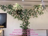 mot-so-mau-day-hoa-hong-leo-tuong-tai-ha-noi-do-nhat-minh-decor