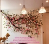 mot-so-mau-day-hoa-hong-leo-tuong-tai-ha-noi-do-nhat-minh-decor