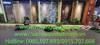 thi-cong-lap-dat-tieu-canh-kho-tai-showroom-gach-op-lat-tspace-royal-city-ha-noi