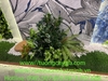 thi-cong-lap-dat-tieu-canh-kho-tai-showroom-gach-op-lat-tspace-royal-city-ha-noi