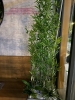vong-tron-reu-nhan-tao-tai-r102-the-zenpark-vinhomes-ocen-park