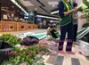 trang-tri-toan-bo-he-thong-tuong-cay-gia-tai-aeon-mall-ha-dong-ha-noi