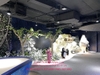 trang-tri-tuyet-roi-khung-canh-day-tho-mong-chuan-bi-don-noel-tai-124-ton-duc-th