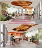 decor-hoa-cay-xanh-qua-lop-kinh-mo-tai-van-phong-tap-doan-prudential-viet-nam-ta