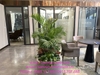 thi-cong-lap-dat-he-thong-cay-xanh-tai-can-ho-mau-du-an-masterise-homes