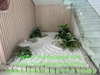 thi-cong-tieu-canh-phong-cach-nhat-ban-tai-khu-can-ho-mau-nam-long-an-duong-hai-