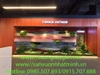 thi-cong-lap-dat-tieu-canh-kho-tai-showroom-gach-op-lat-tspace-royal-city-ha-noi