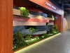 thi-cong-lap-dat-tieu-canh-kho-tai-showroom-gach-op-lat-tspace-royal-city-ha-noi