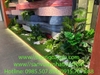 thi-cong-lap-dat-tieu-canh-kho-tai-showroom-gach-op-lat-tspace-royal-city-ha-noi