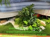 thi-cong-lap-dat-tieu-canh-kho-tai-showroom-gach-op-lat-tspace-royal-city-ha-noi