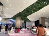 trang-tri-cay-la-gia-tren-tran-tai-trung-tam-thuong-mai-lotte-mall-tay-ho-ha-noi