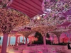 decor-hoa-hong-tai-nha-hang-pinky-novaworld-phan-thiet-binh-thuan