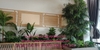 trang-tri-day-ru-cho-spa-lam-thanh-cu-chi-tp-hcm
