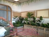 trang-tri-day-ru-cho-spa-lam-thanh-cu-chi-tp-hcm