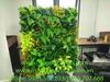 decor-vach-cay-xanh-nhan-tao-tai-cong-ty-bds-thien-son-90-trung-kinh-cau-giay-ha