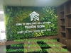 decor-vach-cay-xanh-nhan-tao-tai-cong-ty-bds-thien-son-90-trung-kinh-cau-giay-ha