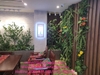 lap-dat-vach-tuong-cay-gia-tai-ngan-hang-hdbank-so-32-tran-hung-dao-hoan-kiem-ha