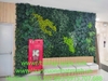 thi-cong-lap-dat-vach-cay-nhan-tao-tai-ngan-hang-vietcombank-27-dai-co-viet-ha-n