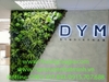 decor-he-thong-cay-la-nhan-tao-tai-van-phong-cong-ty-dym-tp-ho-chi-minh
