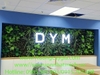 decor-he-thong-cay-la-nhan-tao-tai-van-phong-cong-ty-dym-tp-ho-chi-minh