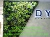 decor-he-thong-cay-la-nhan-tao-tai-van-phong-cong-ty-dym-tp-ho-chi-minh