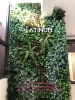 cay-gia-cam-chau-tai-van-phong-trung-bay-gach-men-eurotile-dong-anh