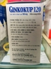 ginkokup-120mg