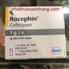 rocephin-iv-1g