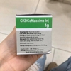 ckd-ceftizoxime-1g