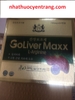 goliver-maxx