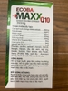ecoba-maxx-q10
