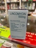 lincomycin-500mg-pharbaco
