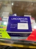 lincomycin-500mg-pharbaco