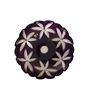 dia-pha-le-linda-caesar-crystal-bohemiae-35cm