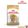 Thức ăn khô cho chó Royal Canin Poodle Adult