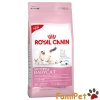 Thức ăn hạt dành cho mèo mẹ và mèo con - Royal Canin Mother and BabyCat