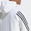 Áo Khoác Adidas Nam Chính Hãng - FUTURE ICONS 3-STRIPES HOODIE - Trắng | JapanSport IC6720