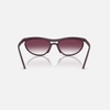 Kính Ray-Ban Chính hãng - PREDATOR LITEFORCE - 0RB4453-64458H 59-20 MM | JapanSport