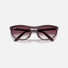 Kính Ray-Ban Chính hãng - PREDATOR LITEFORCE - 0RB4453-64458H 59-20 MM | JapanSport