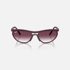 Kính Ray-Ban Chính hãng - PREDATOR LITEFORCE - 0RB4453-64458H 59-20 MM | JapanSport